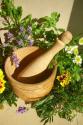 How To Use Herbal Remedies For Anxiety